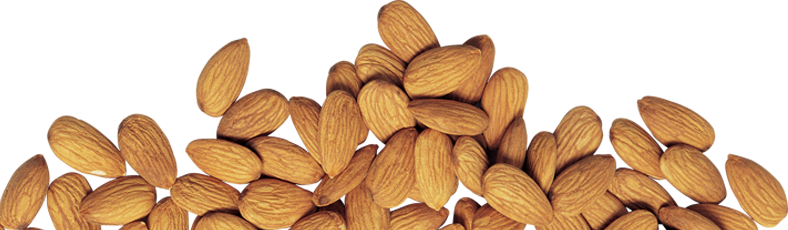 Stewart and Jasper natural almonds